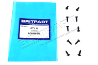 Screw x10 (Britpart)  AC606041L