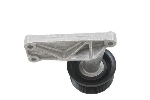 Idler Pulley/Bearing And Mounting Bracket Less ACE (Aftermarket) ERR6949R
