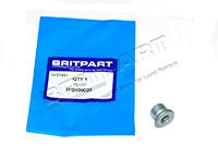 Drain And Filler Plug (Britpart) IYB500020