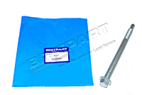 Lower Suspension Arm Strut Bolt (Britpart OEM) RYG000440