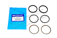 Brake Caliper Seal Kit 110/130 01-  (Britpart) SMN000060