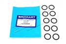 Breather Filter O-Ring QTY 10 200/300 Tdi (Britpart) LLO100000