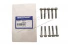 Injector Clamp Bolts (OEM) 1387730 *Bag Of 10*