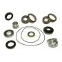 Rear Differential Diff Bearing Kit Early Small Bearing (OEM) FDK004 DA7509E