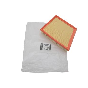 Filter (Genuine) 113123479LR
