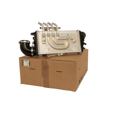 Cooler AIr Charge (Genuine) 113123484