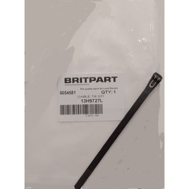 CABLE TIE EFI  (BRITPART) 13H9727L