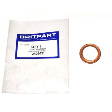 JOINT WASHER (OEM) 243972