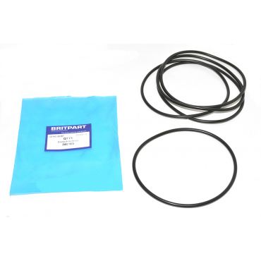 SEALING RING (BRITPART) 246169