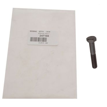 SPECIAL BOLT (OEM) 247166
