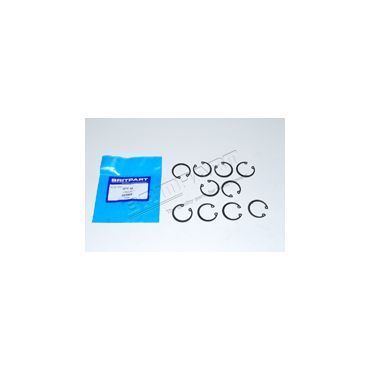 CIRCLIP (OEM) 266945