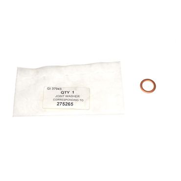 Sealing Washer Pipe To Pump (SANTANA) 275265