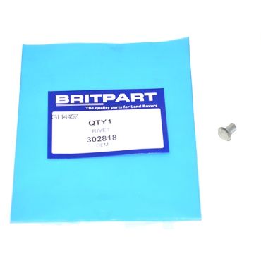 RIVET (OEM) 302818