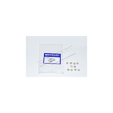 SPNG WASHER 3101