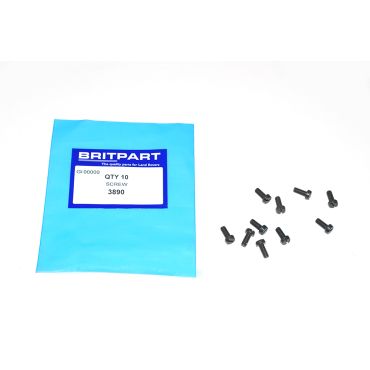 SCREW X10 (OEM) 3890