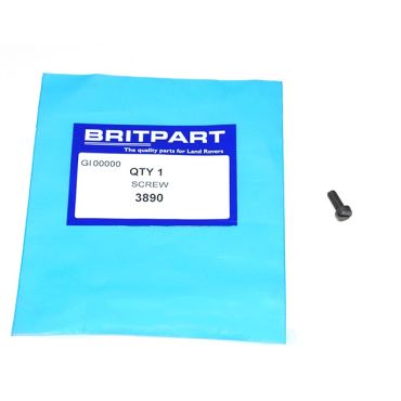SCREW (OEM) 3890