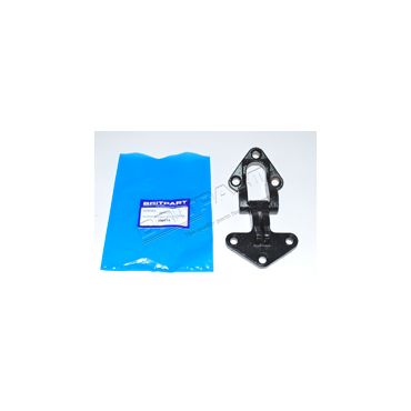 Door Hinge RRC 70-89 (Britpart) 390415
