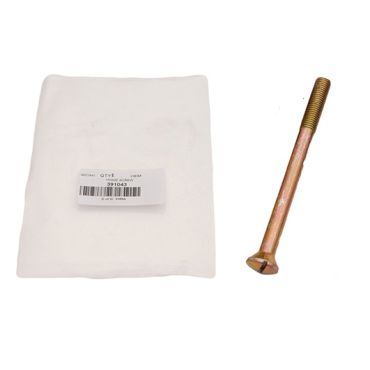 Hinge Screw (Britpart OEM) 391043