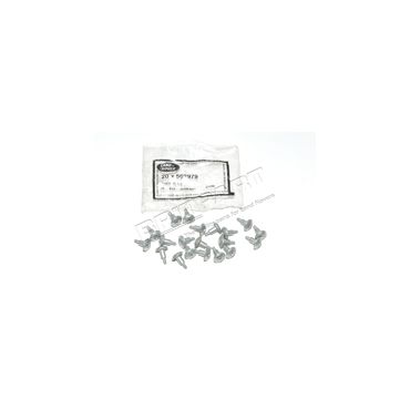 SPECIAL SCREW (GENUINE) 562979
