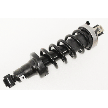 Damper (BWI) 420512020AM