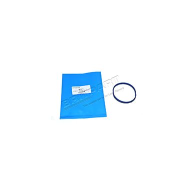 Gasket Inlet 4.0 V6 Petol (OEM) 4537676