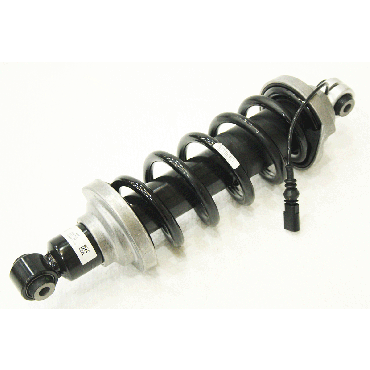 Audi MSS Rear Coil Over Shock Absorber (BWI) 4S0512019C