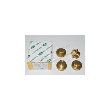 PLUG (GENUINE) 533358