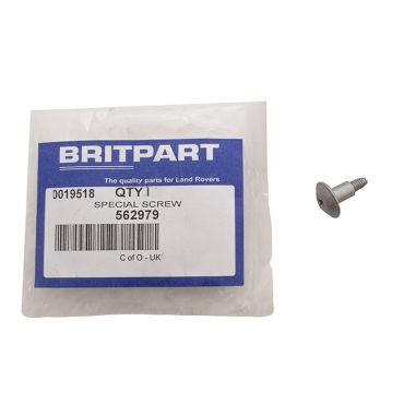 SPECIAL SCREW 562979