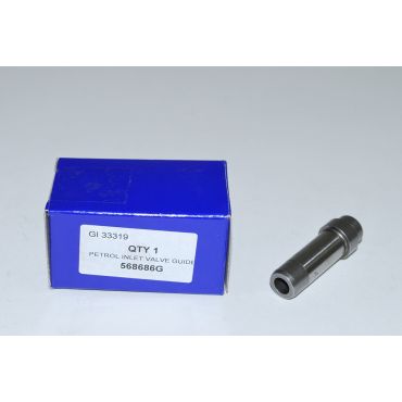 Valve Guide Inlet (AE) 568686G