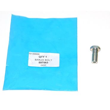 BANJO BOLT 597563