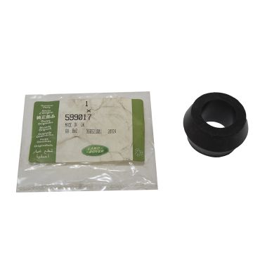 RUBBER BUSH 599017
