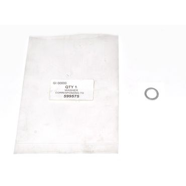 WASHER 599575