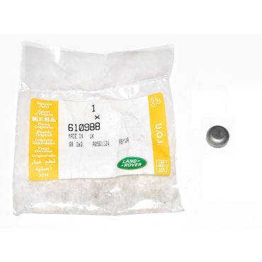 PLUG (Genuine) 610988