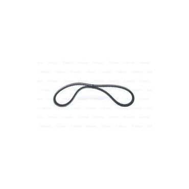 BELT 613019
