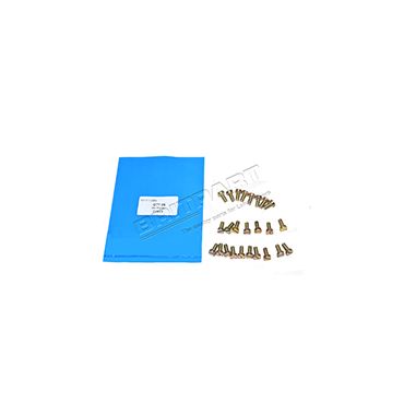 SCREW (OEM) 77941