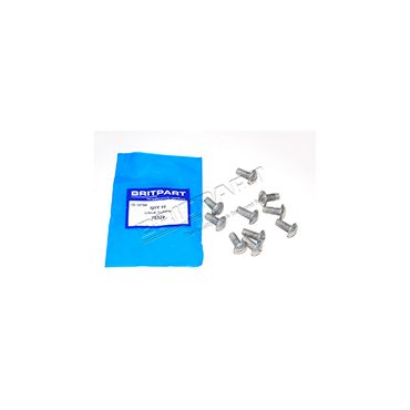 DRIVE SCREW 78329