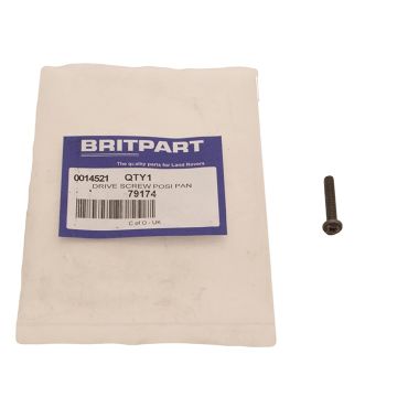 DRIVE SCREW (BRITPART) 79174