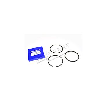 Piston Rings +20 (Britpart) RTC419320 STC77220