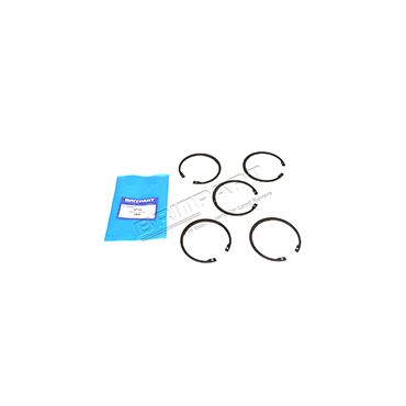 RING ELASTIC 9960