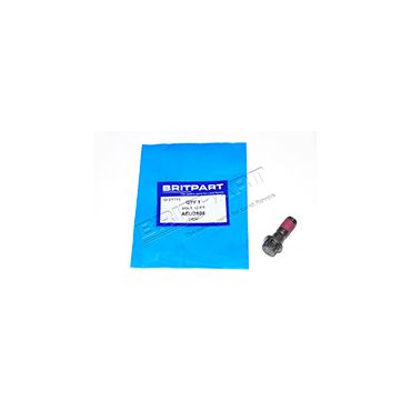 BOLT 12 PT (OEM) AEU2508