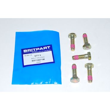 BOLT CALIPER (OEM) BX110071M