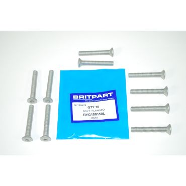 BOLT  FLANGED M8 x 55 (OEM) BYG100150L