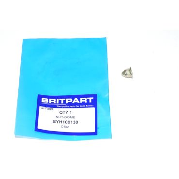 Rear End Door Hinge Domed Nut BYH100130