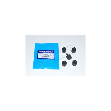 BUFFER - DOOR CHECK CFM500010
