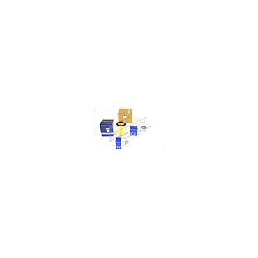 Service Kit RRC V8 EFI 3.9 4.2 89-94 (Britpart) DA6022 SKT6022