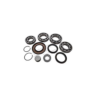 Transfer Box Bearing Kit L322 RRS D3 D4 (OEM) IAB500280KIT DD295K DA7215