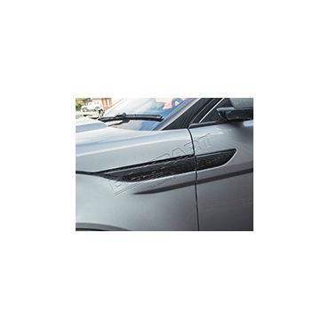 Side Vent Pair - Black Gloss (Britpart) - DA8991