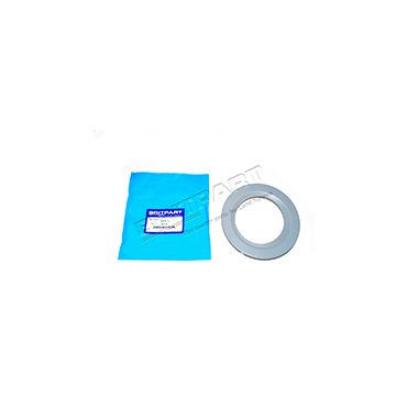 FOG LAMP BEZEL RR2002 (Britpart) DXB500310LML
