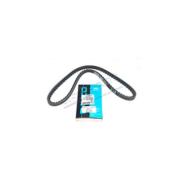 Drive Belt V8 (Dayco) ERC675G