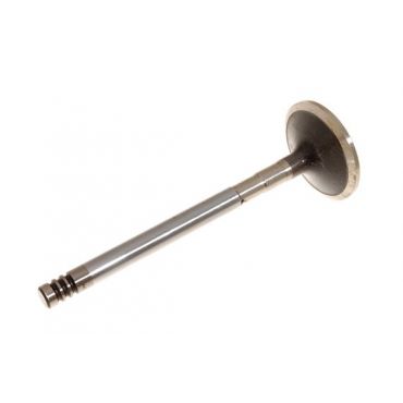 Valve Inlet 200Tdi (OEM) ERR1157G